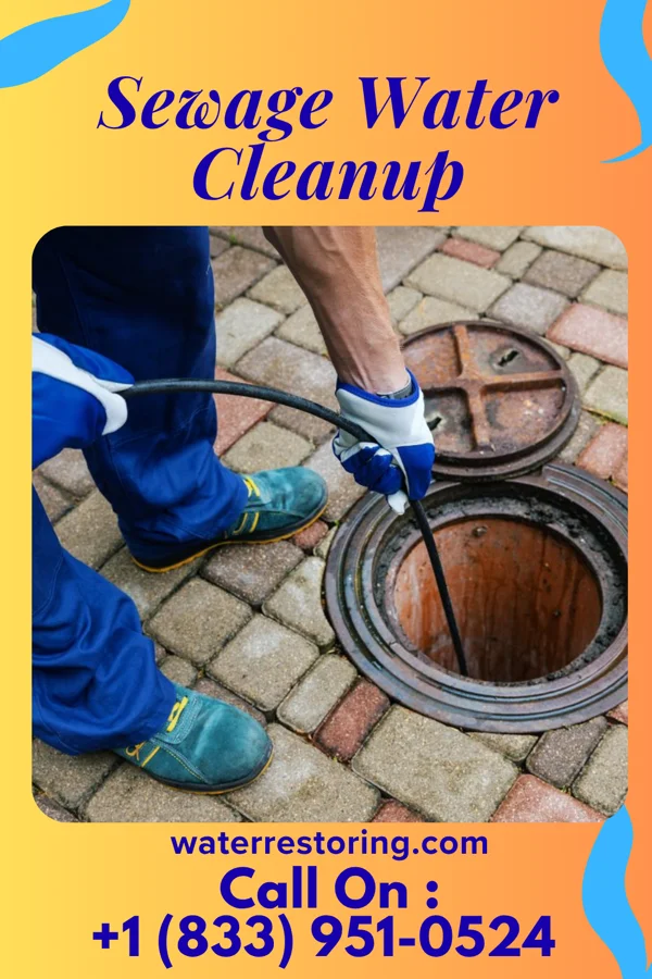 Sewage Water Cleanup in Archer, IA
